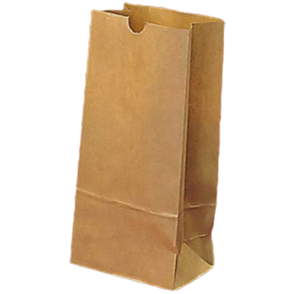 04 lb Brown Paper Bags